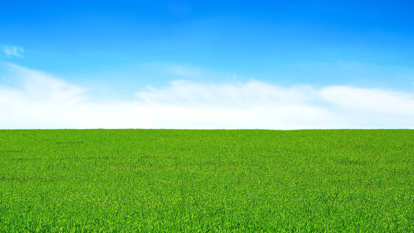 Artificial Grass for Playgrounds